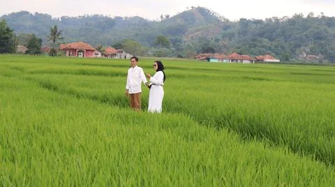 A young couple is posing in a rice field Stock Photos