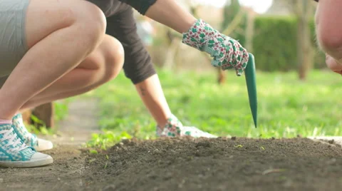 Young Couple Preparing Garden Stock-Footage 62402684