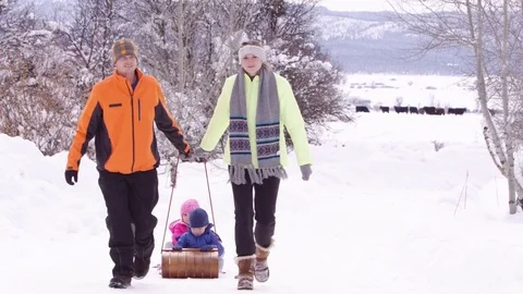 Young couple pulling bobsled with 2 young children Stock-Footage 80128216