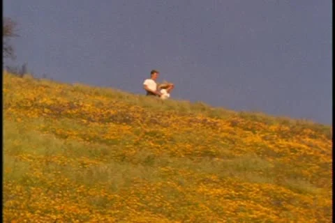 A young couple run down a hill covered in golden wildflowers Stock Footage 10579478
