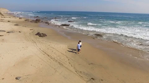 Young Couple Running on the Beach Stock Footage 106551210