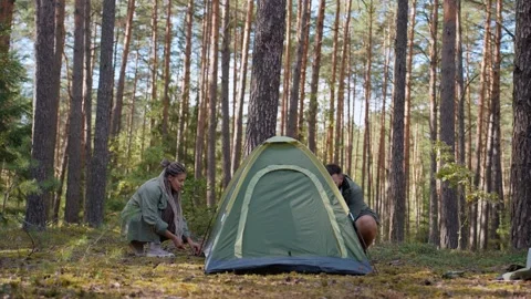 Young couple setting up a tent together in pine forest Stock Footage 327530447