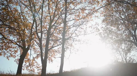 Young couple silhouettes dancing on the hill at sunrise Video stock 65466499