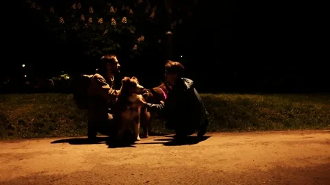 A young couple sits in a night park petting their two dogs. German Shepherd with Stock Footage 319384396