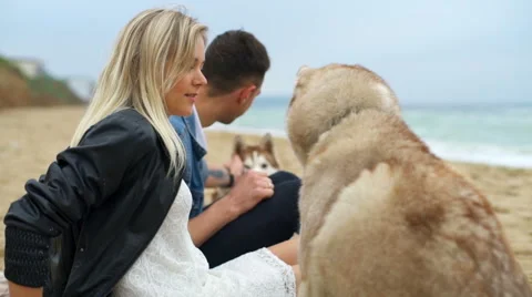 Young couple sitting on the beach with two husky dogs slow motion Stock Footage 65204881