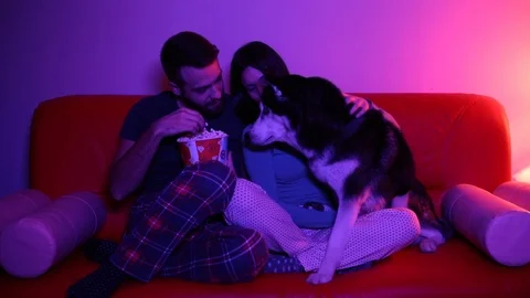Young couple sitting on sofa and switching channels with dog. Stock Footage 121540271