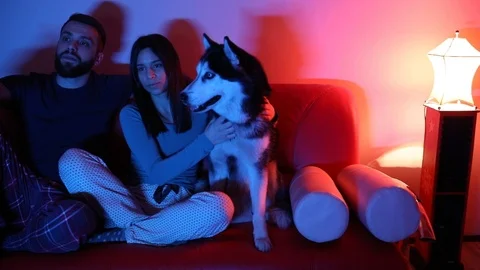 Young couple sitting on sofa with sled dog. Stock Footage 121539843
