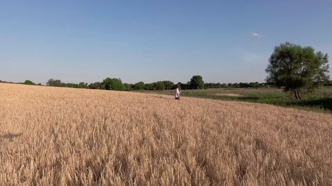 Young Couple standing in Wheat Field Stock Footage 89281467