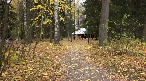 A young couple strolling through the park towards the house Stock Footage 42854648
