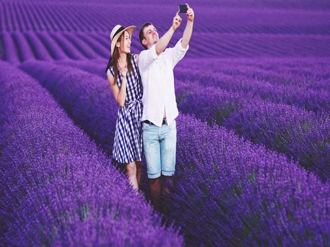 Young Couple Taking Selfie on SmartPhone in Lavender Field. SLOW MOTION 120 FPS Stock Footage 73435555