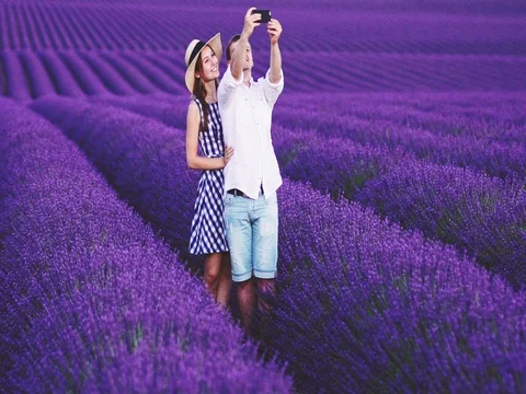 Young Couple Taking Selfie on SmartPhone in Lavender Field. SLOW MOTION 120 FPS Stock Footage 73439892