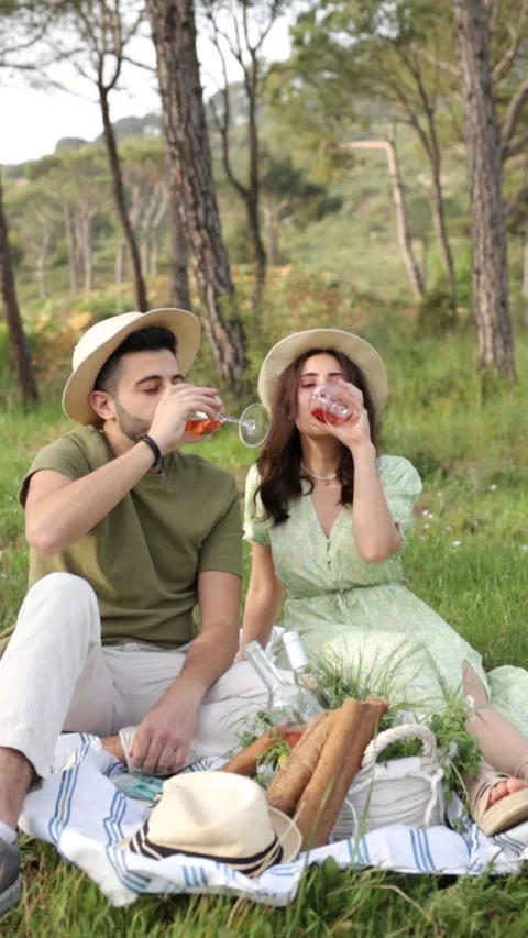 Young Couple Toasting and Drinking rose Wine at Picnic Stock Footage 288855594