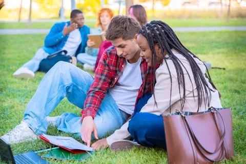 Young couple using notebook together while sitting on grass outdoors Stock Photos