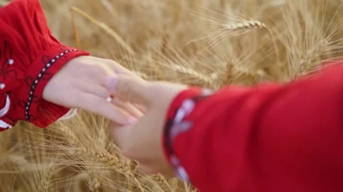 Young couple walking across the wheat field, close-up holding hands, slow motion Stock Footage 205889385
