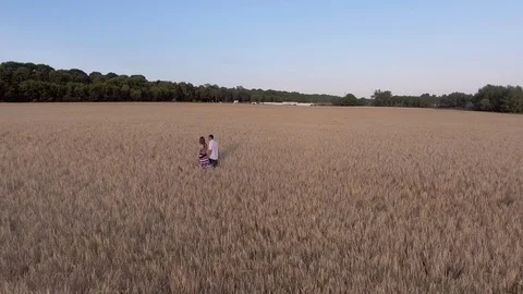 A young couple is walking along the wheat field. Stock Footage 89399673