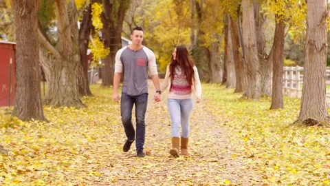 Young couple walking down autumn lane Stock-Footage 80184494