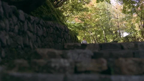 Young couple walking down a stone pathway towards steps under a shaded forest in Video stock 199460056