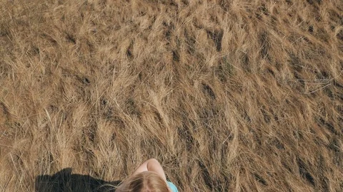 Young couple walking on dry grass towards the river. Shooting from above. Drone. Stock Footage 94827892