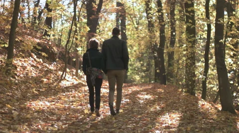 Young couple walking on the forest path during fall season Stock Footage 56628442