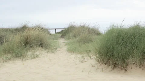 Young couple walking over sand dune Stock Footage