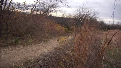 Young Couple Walking on Path Away from Camera Stock Footage 12680060
