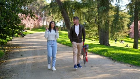 Young couple walking their greyhound dog in a sunny park Stock Footage 333235151