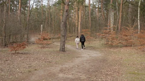 Young couple walking on a winding path, disappearing into a vast autumn forest Stock Footage 315072320