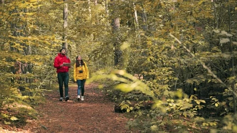 Young couple walks along path in forest reserve and looks around. Male tourist Stock Footage 147066418