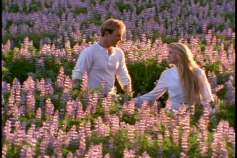A young couple walks in a field of purple wildflowers Stock Footage 10579341