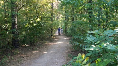 Young Couple Walks In Forest Stock Footage 127192075