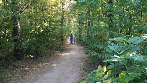 The Young Couple Walks In Forest Stock Footage 127434084