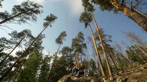 A young couple walks in a pine forest on stone rocks on a bright Sunny day. Stock Footage 96534212