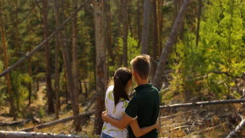 A young couple walks in a pine forest on stone rocks on a bright Sunny day. Stock Footage 96534940