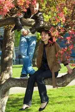 Young couple at flowering tree Stock-Fotos