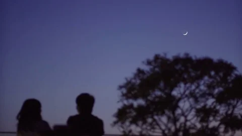 Young couples in Crescent Moon night Stock Footage 75080515