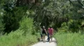 young couples walk sandy foot path Vidéos HD