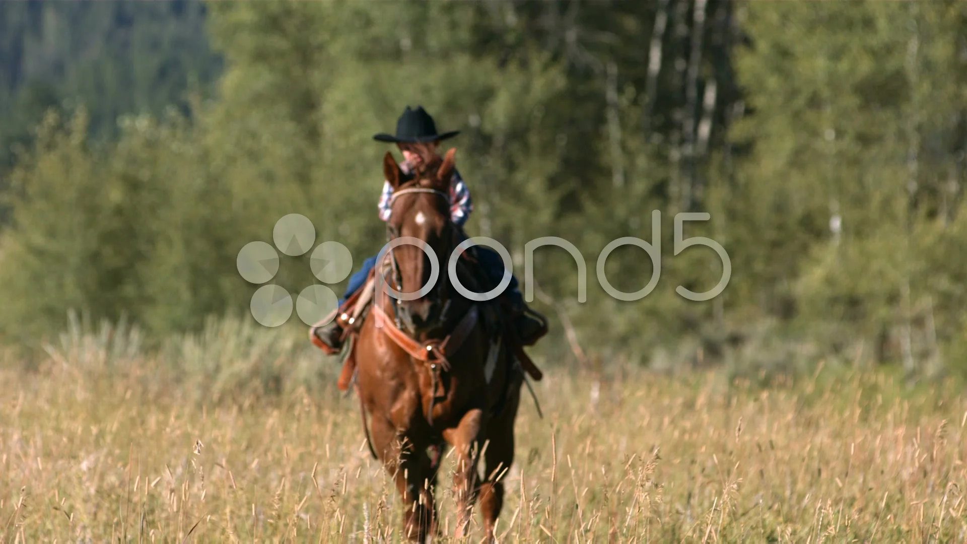 AV001- Caoboy Riding Horse