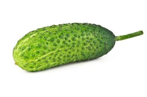 Young cucumber Stock Photos