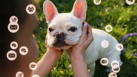 Young cute dog lying sleeping at home around white animation сloud technology Stock Footage 126801720