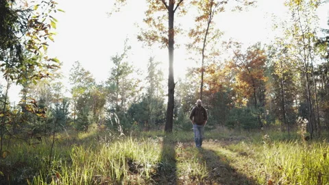 Young, cute guy walking in the woods Stock Footage 99675583