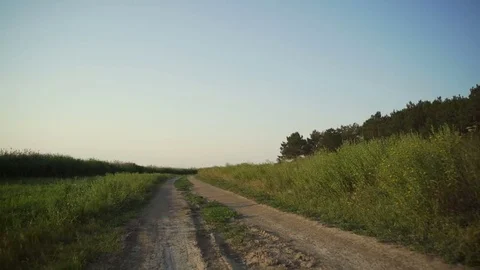 Young cyclist ride bicycle empty road green field sunset rapid slow motion Video stock 78225342