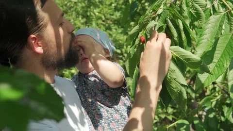 Young dad with beard feeds child. Father small daughter toddler kid pick Stock Footage 159831580