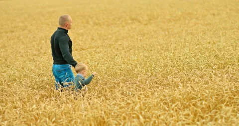 Young dad carefully leads his son by the hand across the endless wheat field Vídeo Stock 138967904