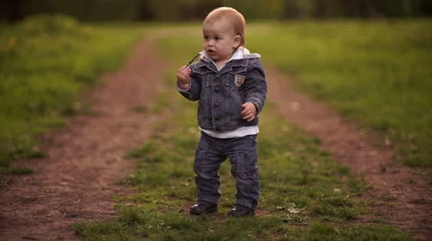 Young dad walking with his son in the park in autumn. The boy is eating a twig Stock-Footage 55118877