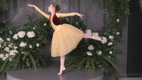 A young dancer elegantly performs in a beautiful tutu, surrounded by stunning Stock Footage 288589505
