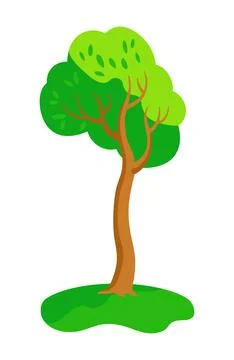 Young deciduous tree on a green grass. Vector isolated on white. Stock Illustration