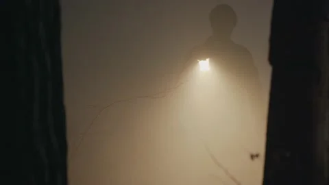 Young detective with flashlights in hand walking through empty wood at night Stock Footage 201024463