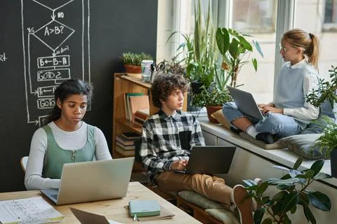 Young developers using computers at lesson Stock Photos