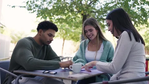 Young diverse students collaborating on a project outdoors Stock Footage 335274041