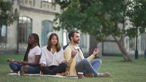 Young diverse students maditating on campus lawn 库存影片 163281113